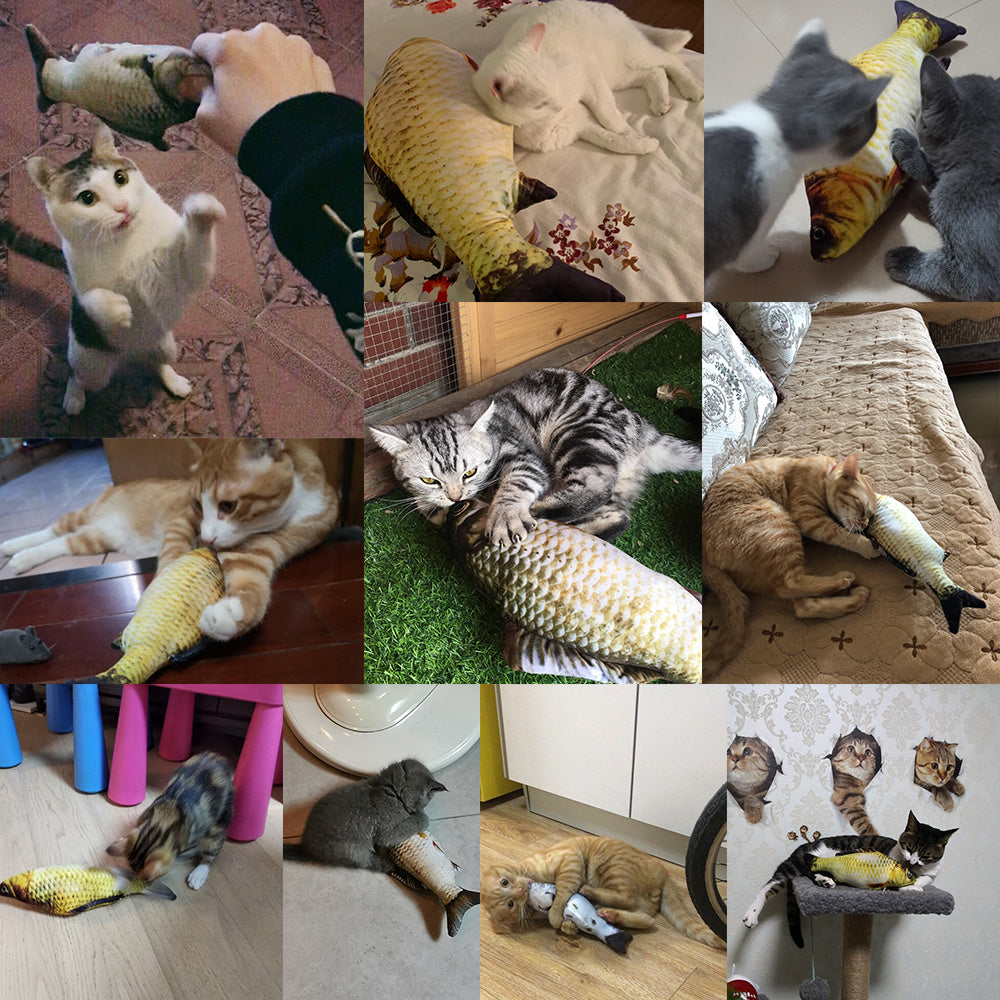 🐈 Interactive Fish For For Cats and More