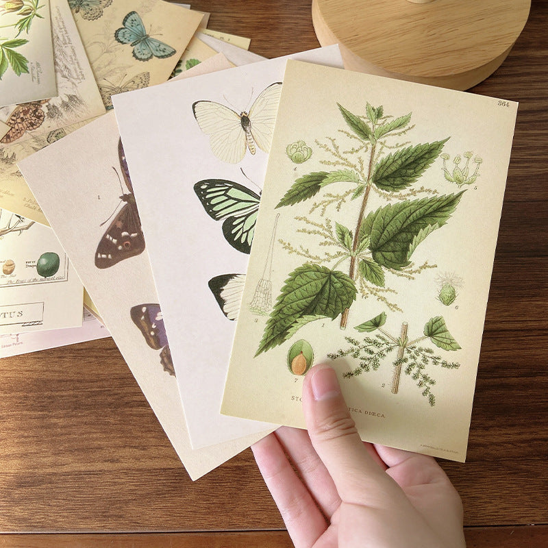 🌿 Forest Plant Series Decorative Cards – 30pcs Retro Wall Postcards