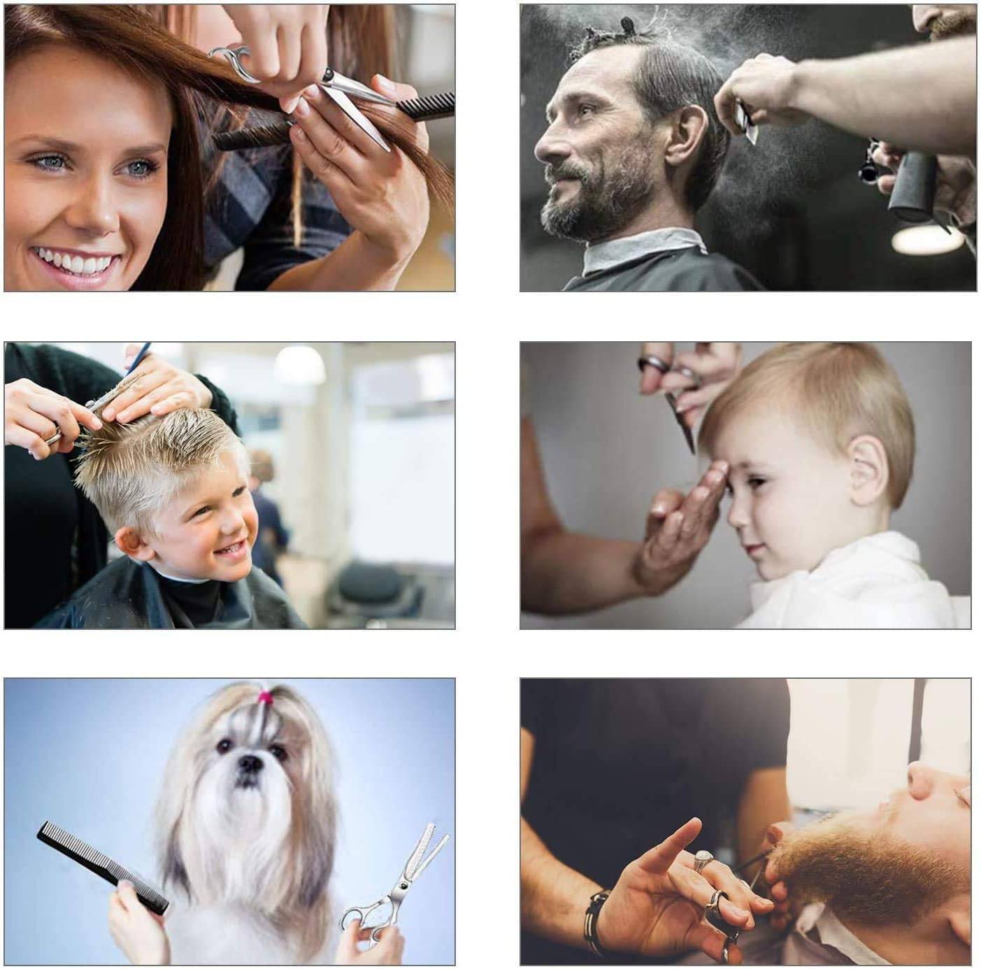 Premium Stainless Steel - Hair Cutting Scissors Set