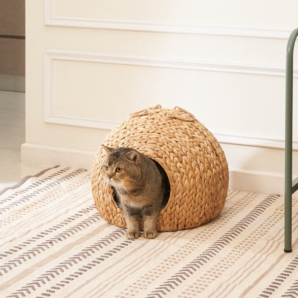🐾 Weaving Rattan Circular Cat Bed with Handles